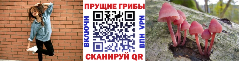где продают наркотики Старая Русса Псилоцибиновые грибы MAGIC MUSHROOMS